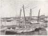 Sponge Fishing Fleet in the Harbor of Batabano