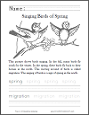 Singing Birds of Spring Primary School Worksheet