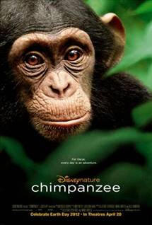 Chimpanzee (Disney Nature Series Movie, 2012) Guide and Review for Teachers and Parents