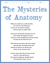 The Mysteries of Anatomy