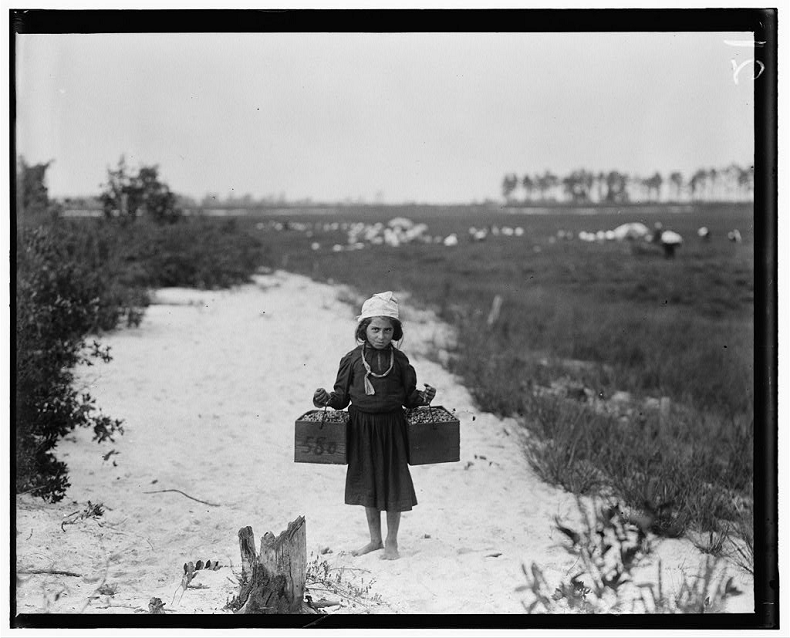 Child Farm Laborer in New Jersey, USA (1910)