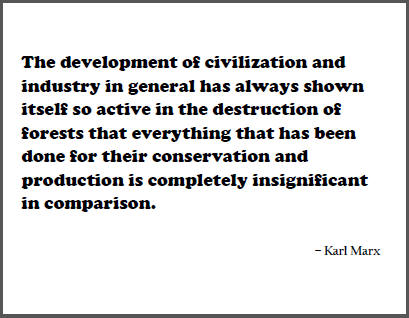 "The development of civilization and industry in general has always shown itself so active in the destruction of forests that everything that has been done for their conservation and production is completely insignificant in comparison," Karl Marx.