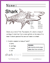 Shark Worksheet for Lower Elementary