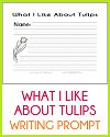What I Like About Tulips Writing Prompt