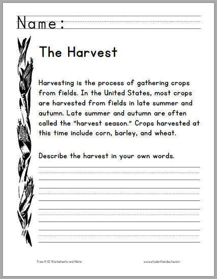 Harvest Season Primary Worksheet - Free to print (PDF file).